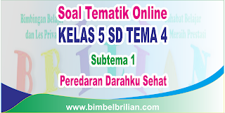 Download Soal Tematik Kelas 5 SD Tema 4 Subtema 1 Peredaran Darahku Sehat dan Kunci Jawaban
