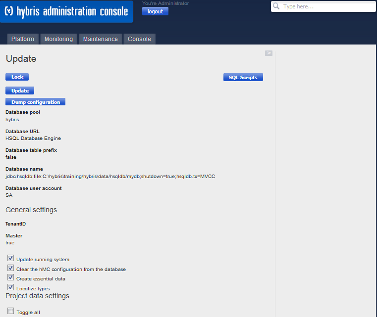 Hybris Initializing and Updating SAP Hybris Commerce