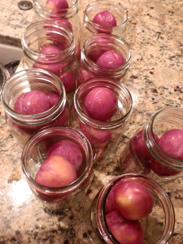 Canning Plums
