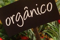 Curso online de papinhas orgânicas Curso online de papinhas orgânicas