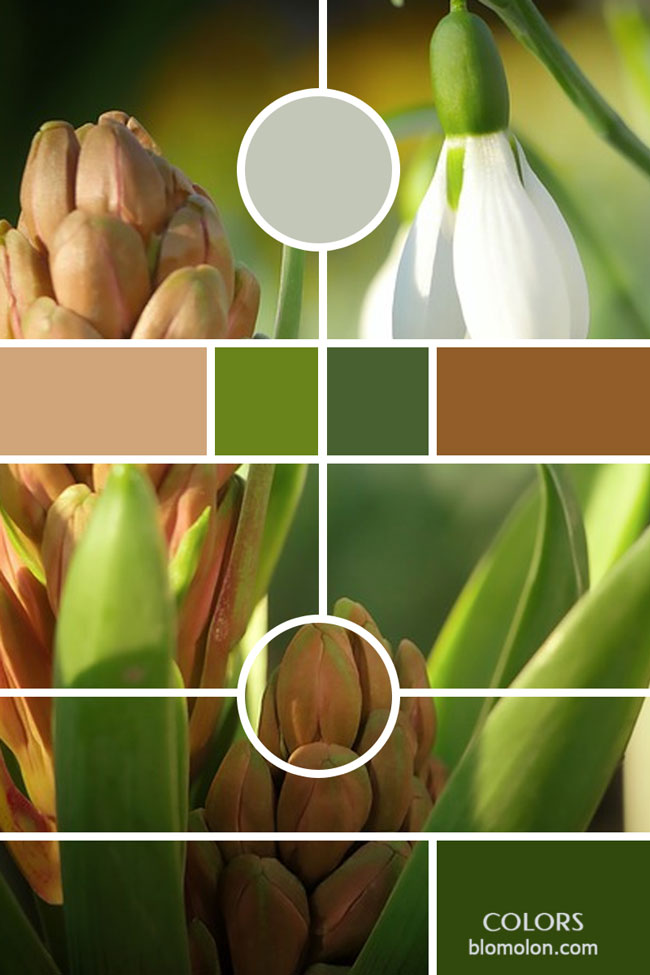 moodboard inspiracion primavera 4 moodboard_inspiracion_primavera_4
