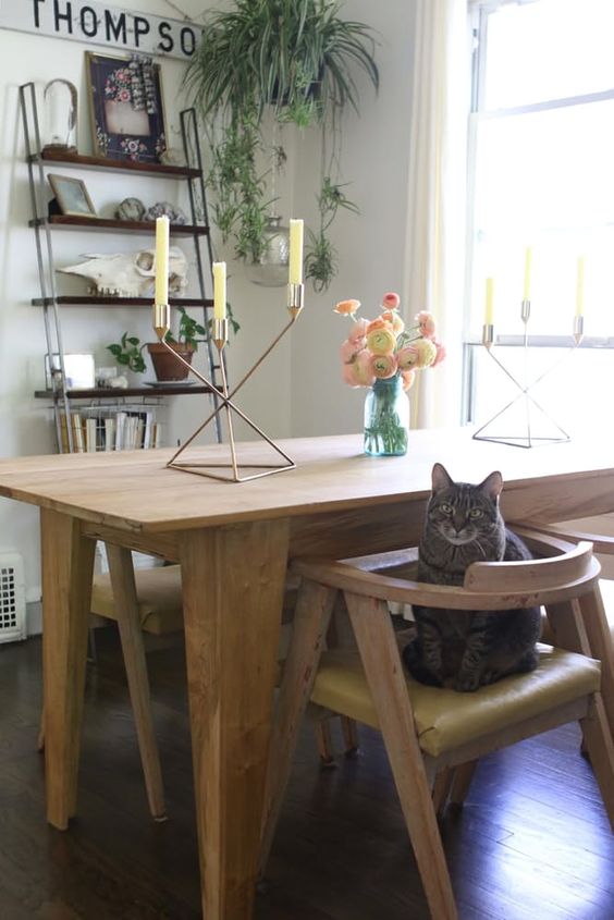 Amazing cats and their boho-tastic homes - cat 7 www.BoHoHome.com @bohosusan
