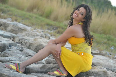 South Top Actress Kajal Agarwal Spicy Photos