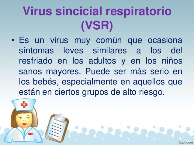 el virus sincicial