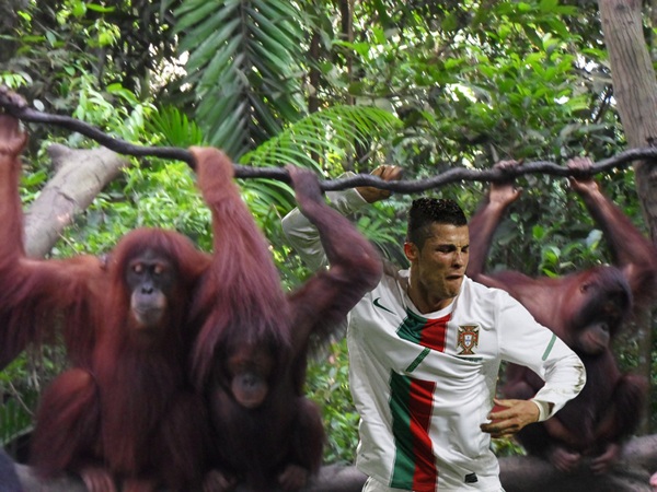 Celtibético: Cristiano Ronaldo, ¡guapo!