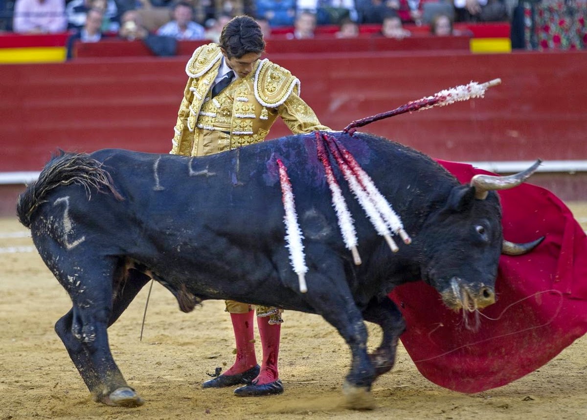 Arte y toros VALENCIA FALLAS, 17 DE MARZO, CASTELLA y PERERA.