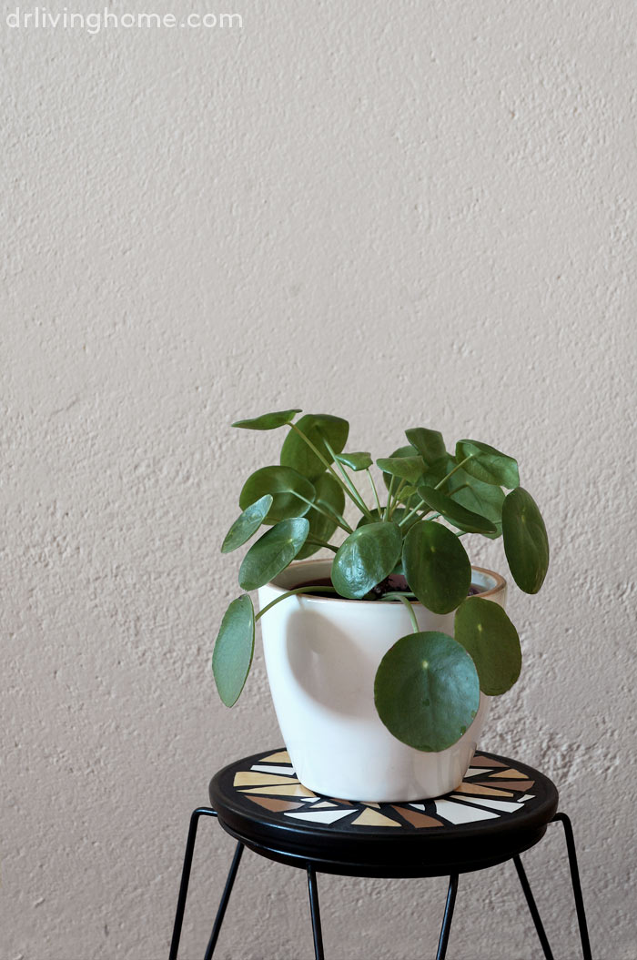 Diy mosaico con azulejos reciclados