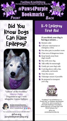 #Paws4Purple K9 Epilepsy Educational Program