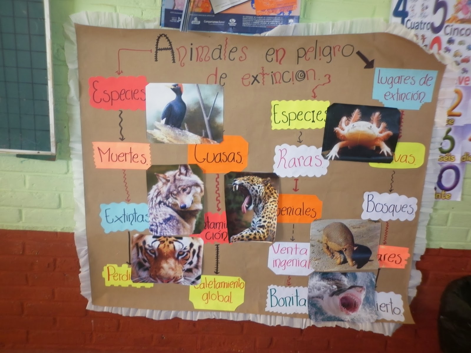 Proyecto De Animales En Peligro De Extincion