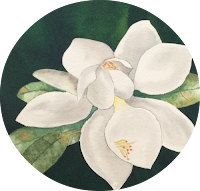 magnolia watercolor painting