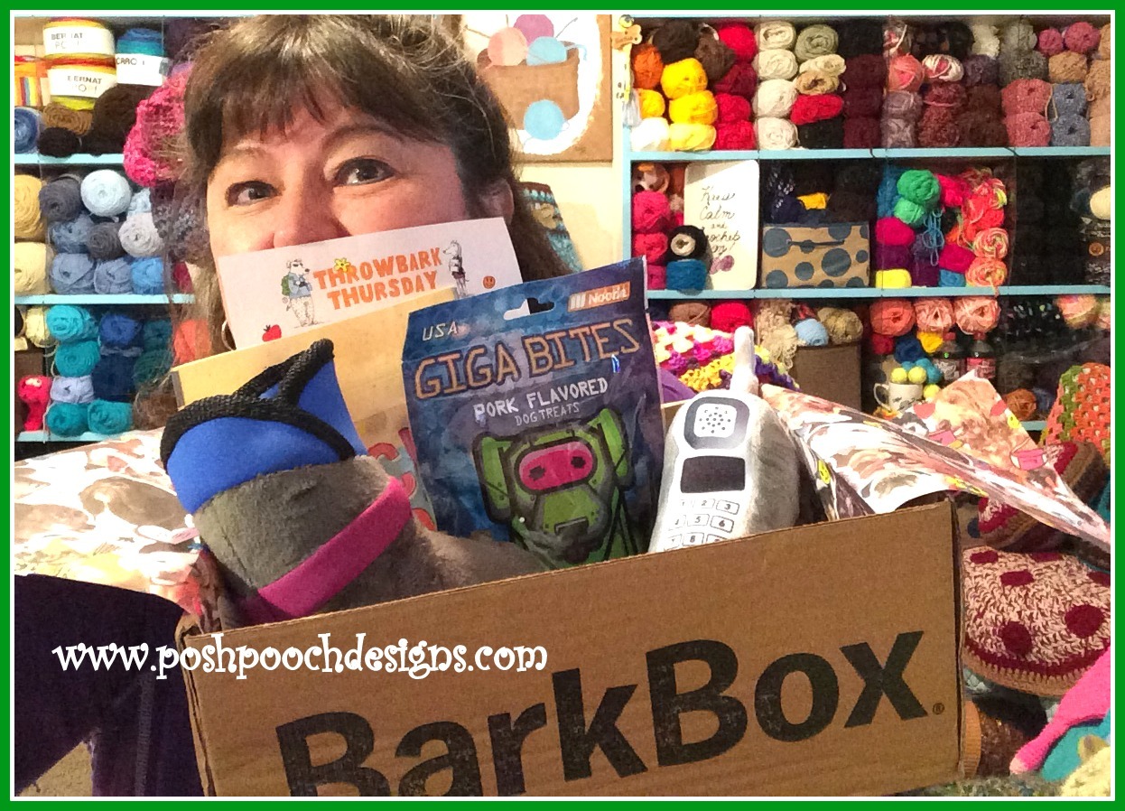 posh toy box