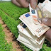 41.153 ευρώ σε δικαιούχους αγρότες του Έβρου καταβάλλει ο ΕΛΓΑ