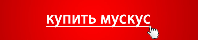 Купить натуральный мускус. Интернет-магазин духи мускус ваниль салон ...