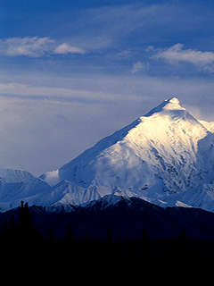 hd wallpapers for desktop: free beautiful natures for mobile