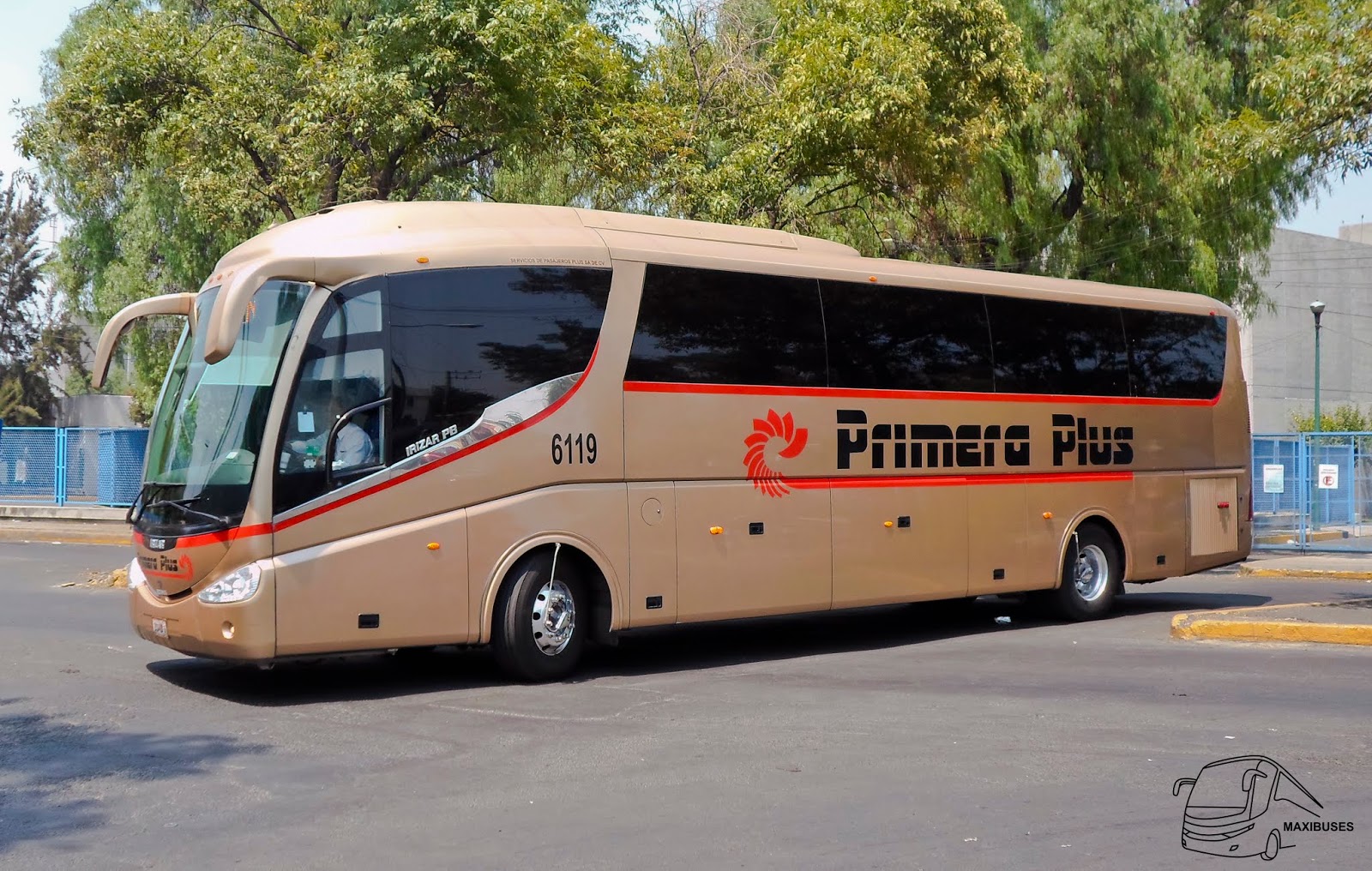 MAXIBUSES PRIMERA PLUS