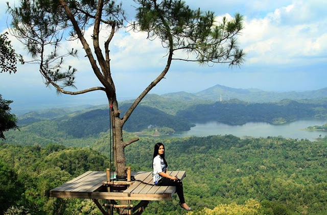 gardu pandang Wisata kalibiru pohon selfie kalibiru