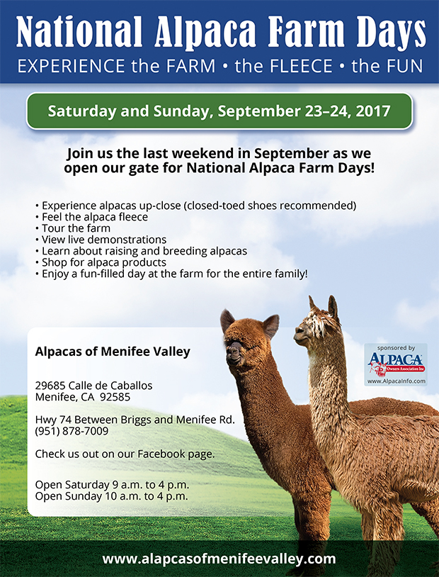 local farm to celebrate national alpaca farm days menifee 24 7 alpaca farm day flyer