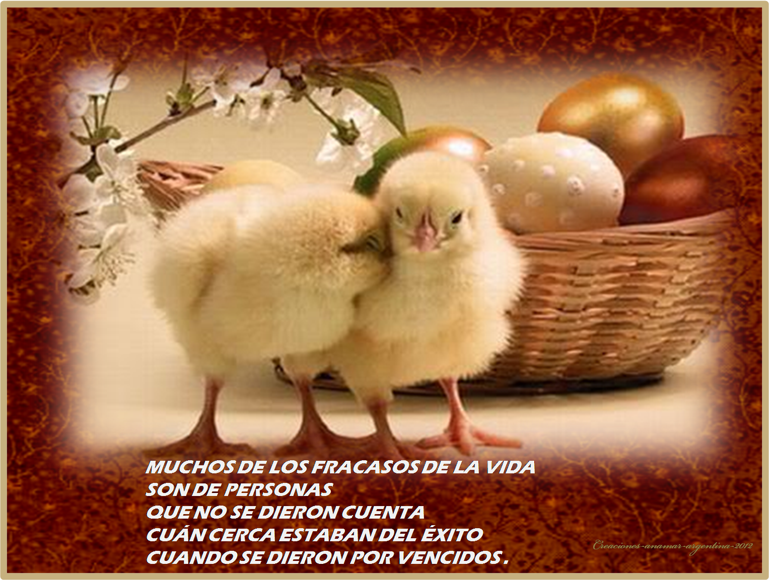 Frases positivas y motivadoras - Imagui