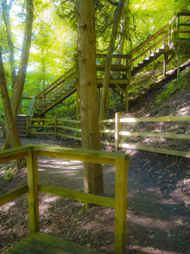 Lions Den Gorge Natural Area - Grafton WI