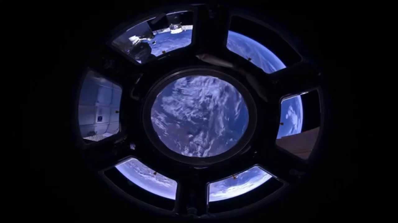 Bird In Everything: Birds Eye View Of Earth