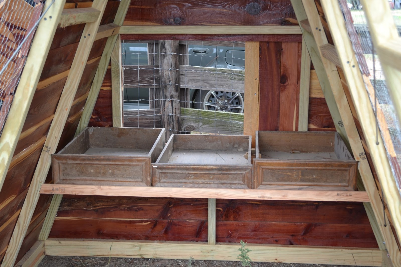 My Stuff The Guinea Coop