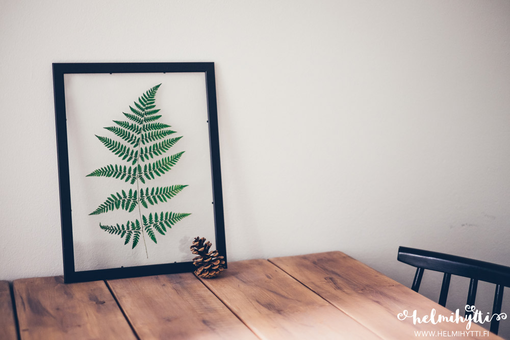 diy-kasvi-taulu-lapinakyva