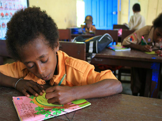 Kelas Inspirasi Kaimana 2 : Melukis Mimpi di SD YPK Wermenu Papua