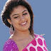 indian Nayanthara in saree photo album