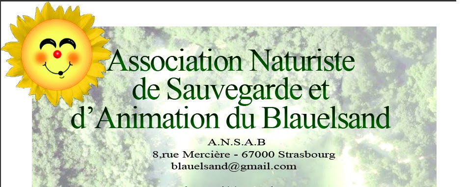 https://4.bp.blogspot.com/-7mra-pGxK9Q/T-x1RK0bDaI/AAAAAAAAABw/GBteSfPkqdQ/s1600/Signature-Blauelsand+(1).bmp