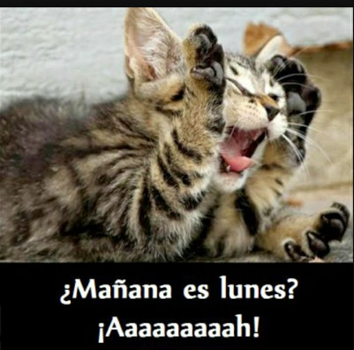 Imagenes chidas para Facebook Mañana es viernes - imagenes chistosas de mañana es viernes