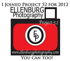 EP Project 52 ~ 2012