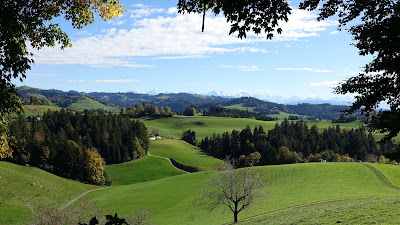 Am linken Bildrand: Baum aus Bild 3 Am linken Bildrand: Baum aus Bild 3