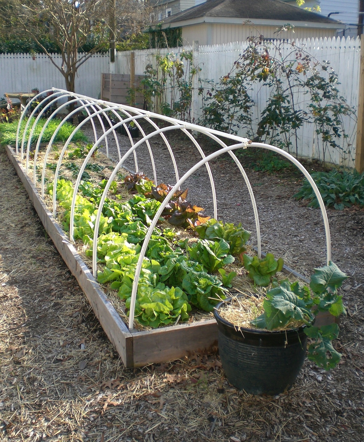 .09 Acres Frost Protection