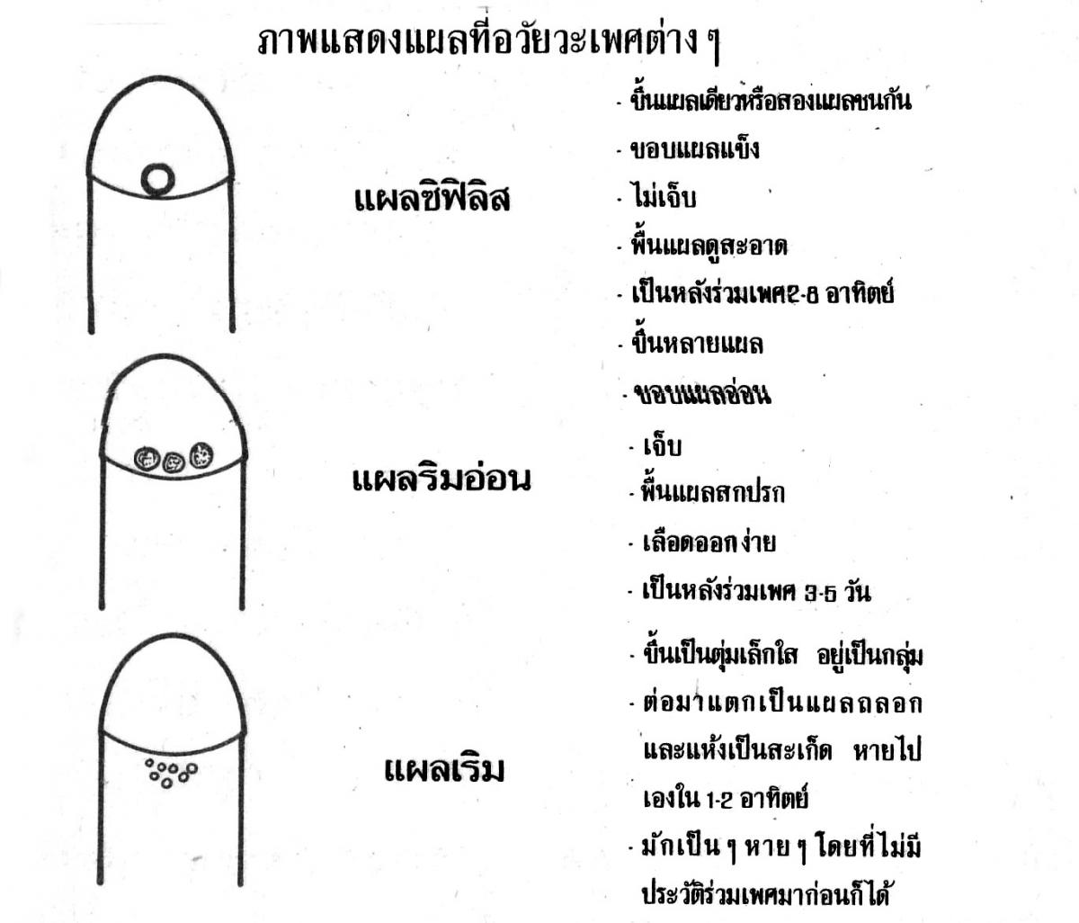 My Image 27