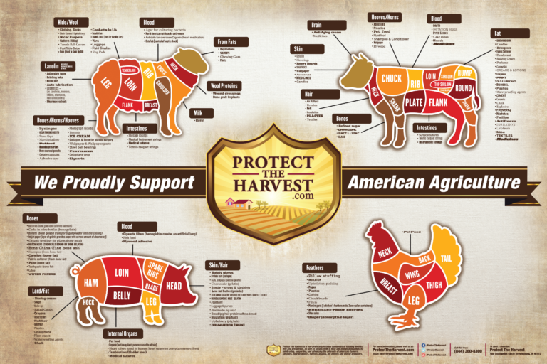 THE WESTERNER Animal Products Posters