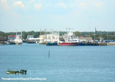 Scenic Views of Cape May Harbor in New Jersey