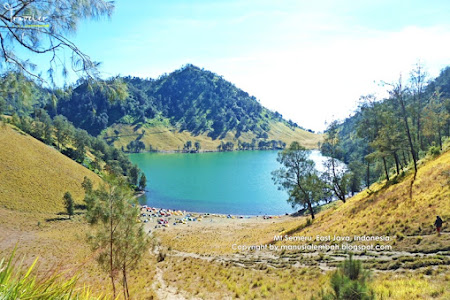 Ranu Kumbolo Gunung Semeru, Surga yang (Tak) Dirindukan