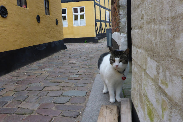 2015060501ribe.JPG