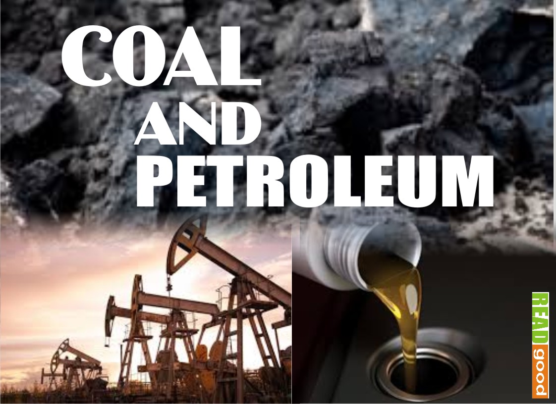Mdpoints HOW THE COAL AND PETROLEUM FORMED