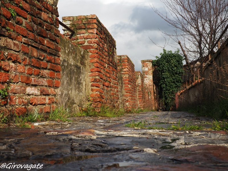 camminamento mura di Pisa