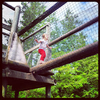 scaling new heights in the adventure playground