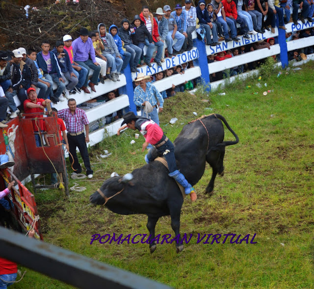 JARIPEO 30/SEP/2013 Pomacuarán Virtual