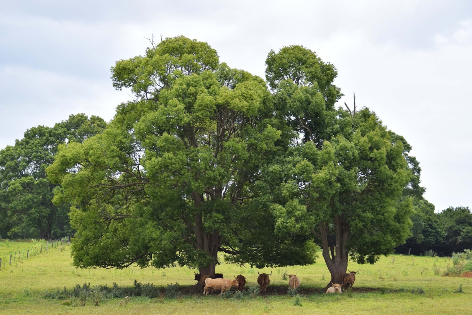 the farm at byron bay