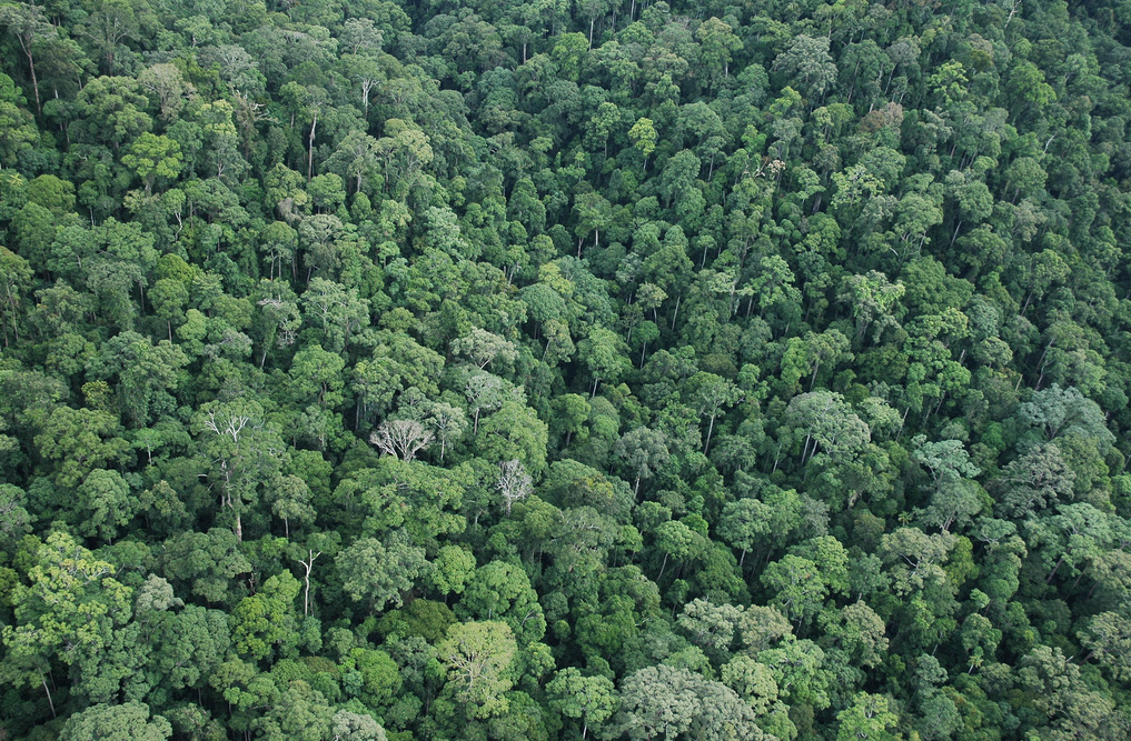 Expedition Earth: Factors affecting distribution and density of population