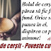 Bolul de cerşit - Poveste cu tâlc