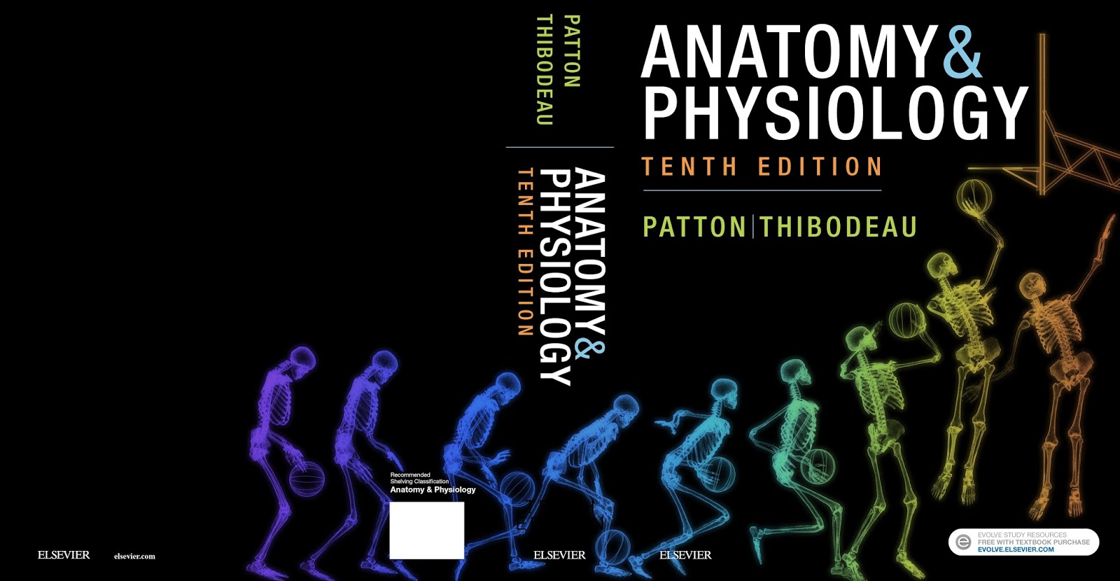 I'm excited about the official release of the new edition of my textbook for 2-semester courses in human anatomy and physiology!