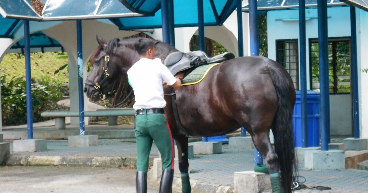 DBKL Mounted Horse Unit