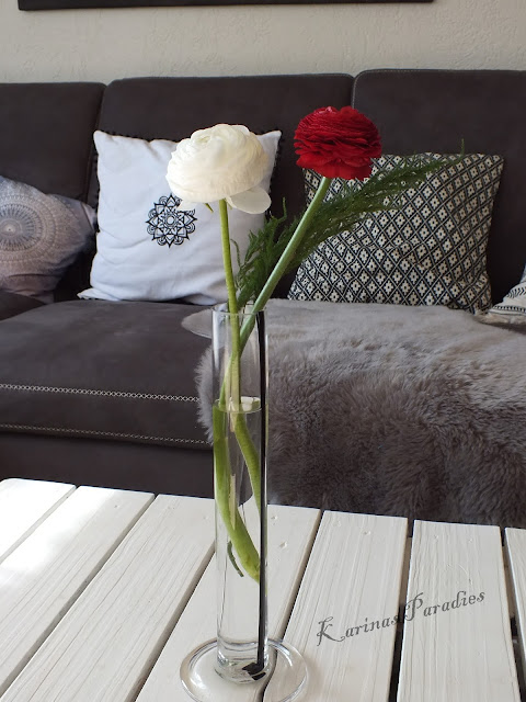 Blumiges Gewinnspiel Mitmachen Und Bloomon Abo Geniessen