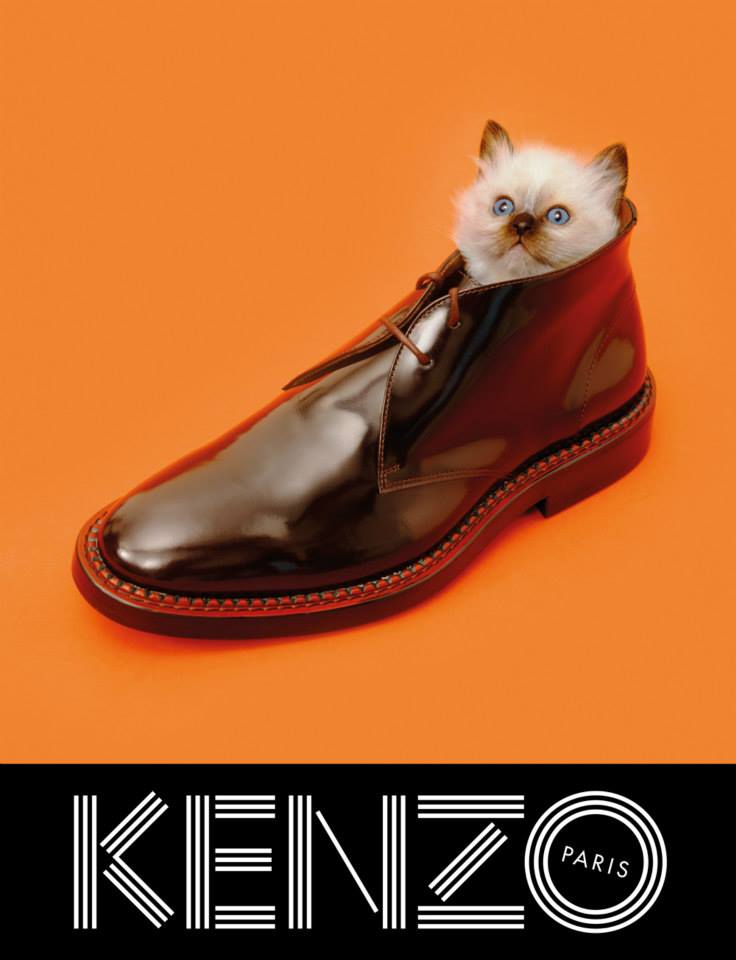 Fusion Of Effects: Ray of Inspirology: Kenzo F/W 2013 Campaign