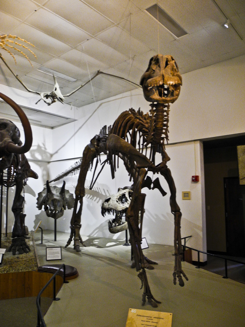 UW Geology Museum - Madison WI
